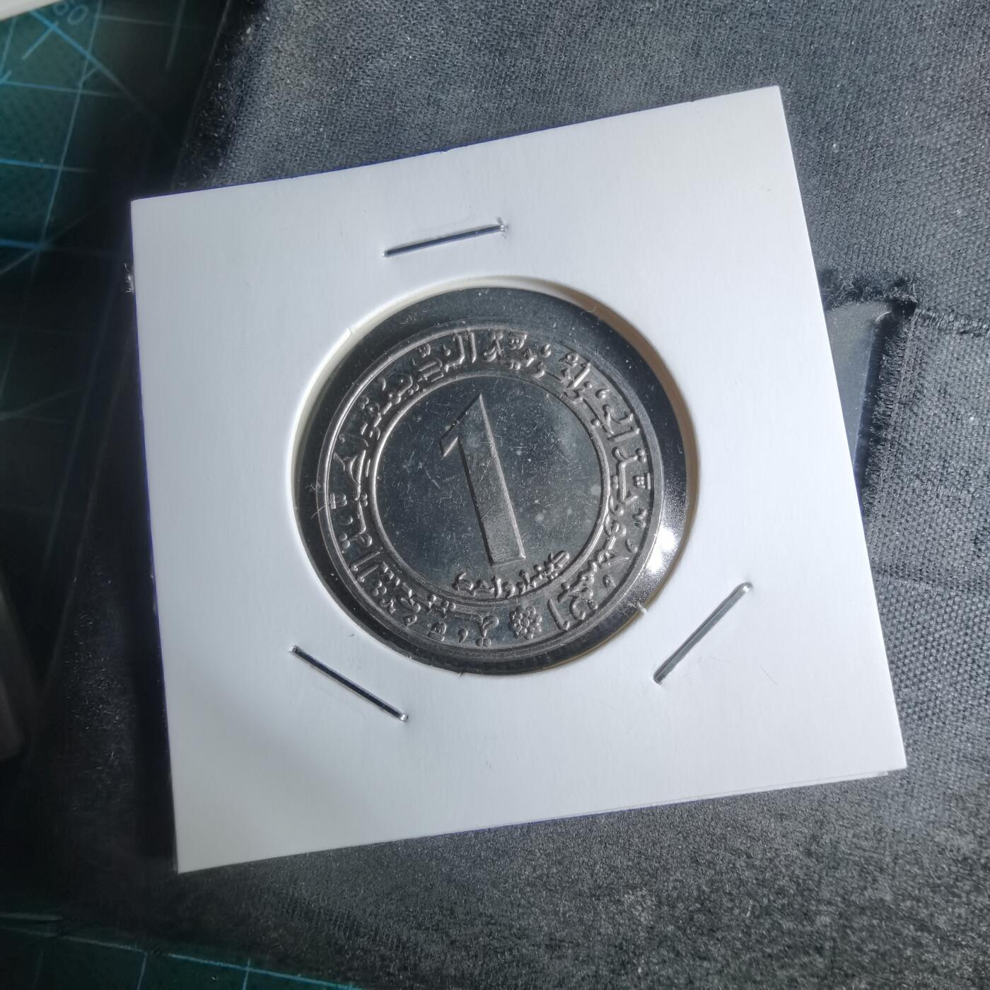 沼泽如烟--第947场