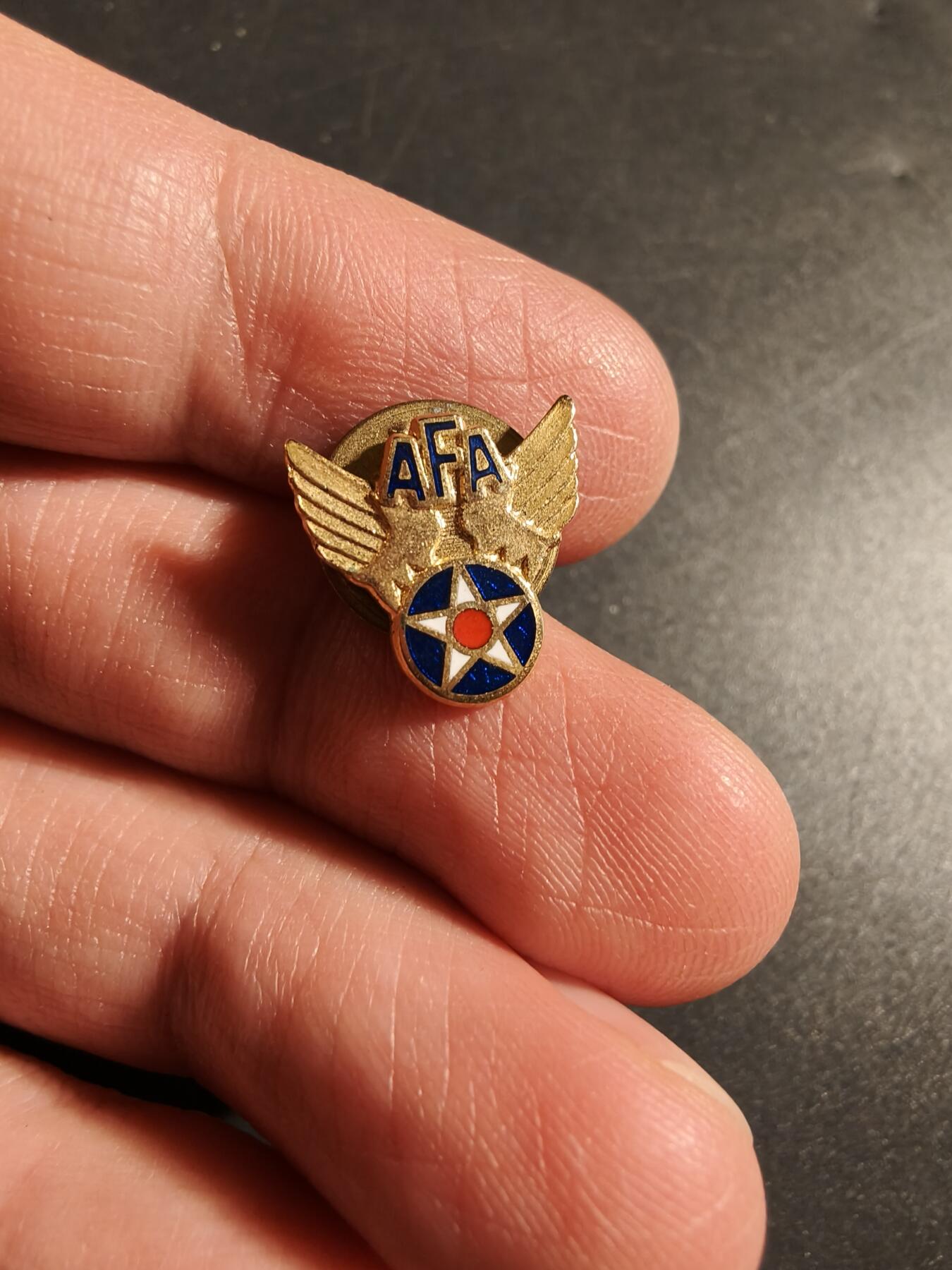 老王徽章第172期 美国空军协会证章    铜质珐琅