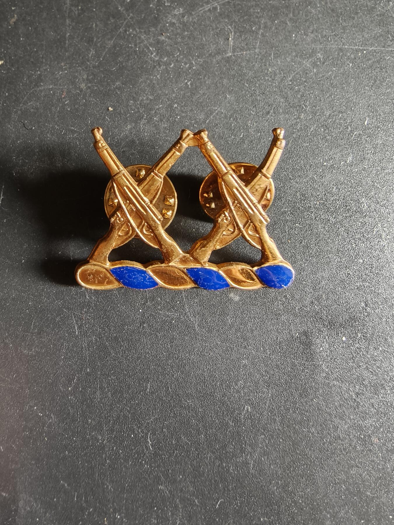 老王徽章第172期 美国陆军第20步兵团证章