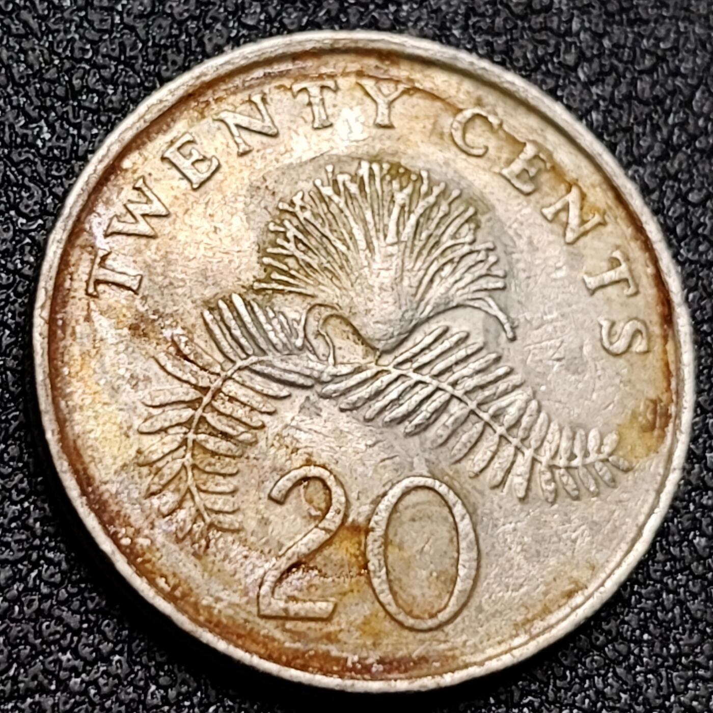 泉币菌-第155场-精品福利场 。