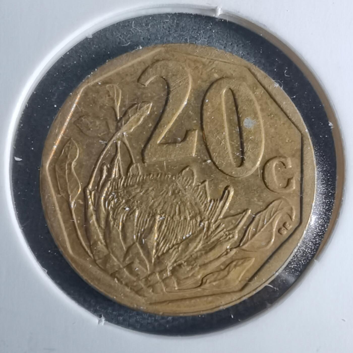 沼泽如烟--第947场 南非2013年20分