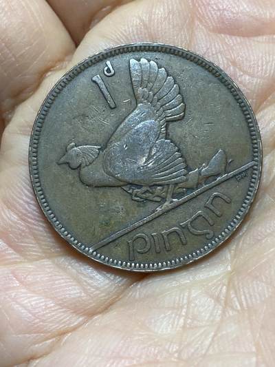 2025年第一百四十三场(总第一百六十九场）外国好品散币场(免佣金) - 爱尔兰1937年1便士(英辖自由邦时期)