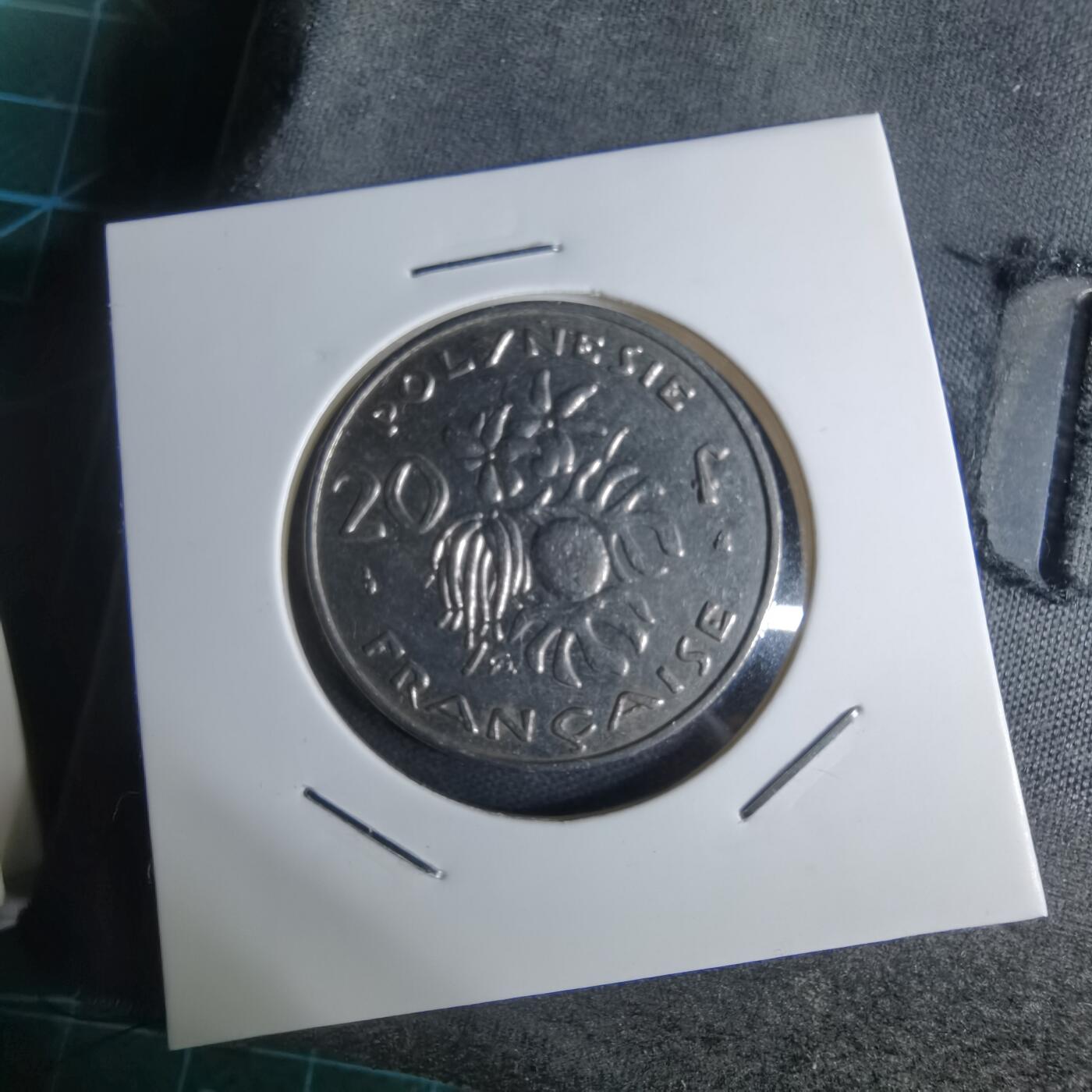 沼泽如烟--第947场