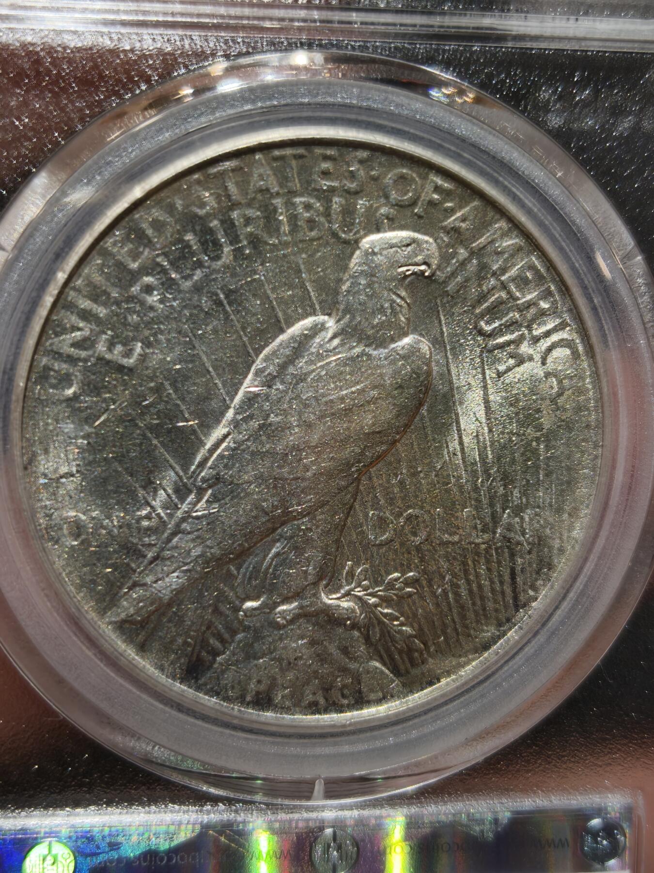 老银币专场（本场三位宝主提供） 美国和平鸽银币，公博评级64分