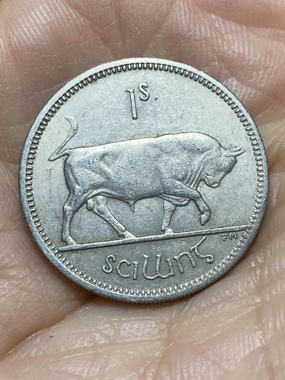 2025年第一百四十三场(总第一百六十九场）外国好品散币场(免佣金) - 爱尔兰🇮🇪1963年1先令(共和国时期第一套第二版)