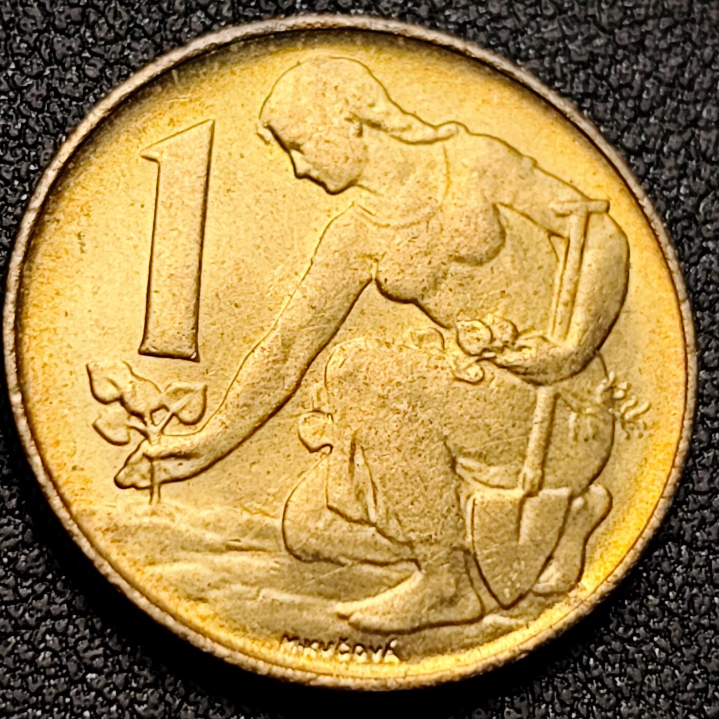 泉币菌-第156场-精品福利场 。