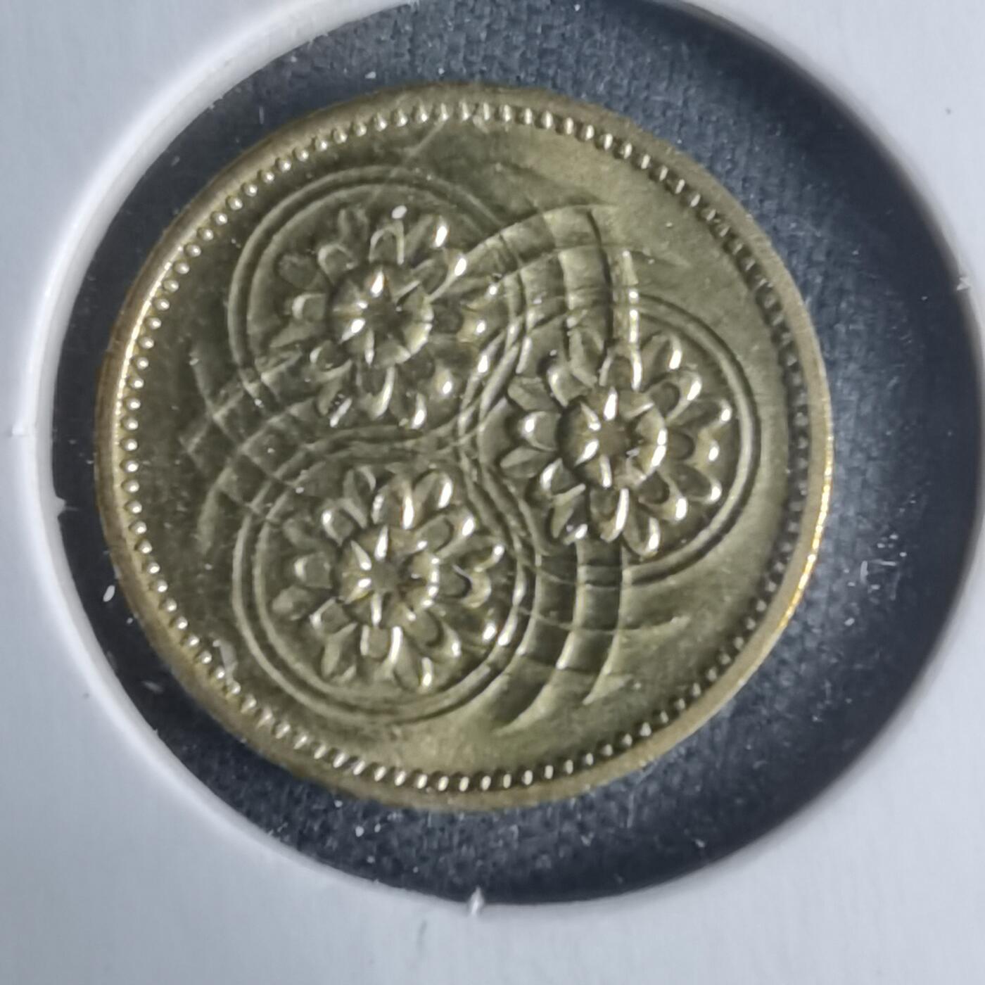 沼泽如烟--第947场