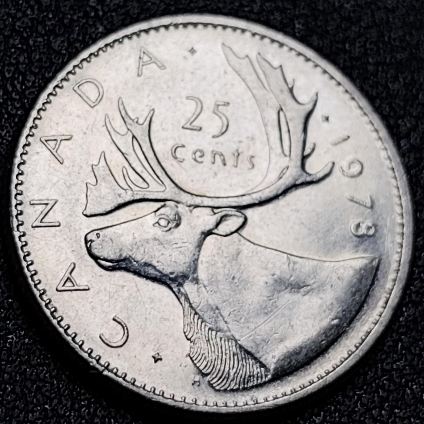 泉币菌-第156场-精品福利场 。