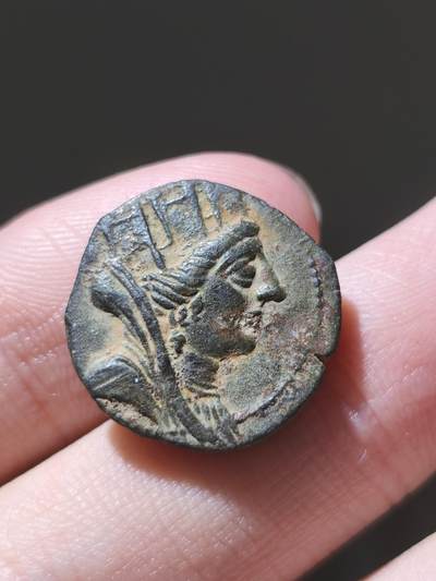 星盘世界钱币2026一月十日新年古典精品大拍 精彩纷呈 - 美品！希腊化末期 塔尔苏斯城提喀女神铜币 背面当地特色神-sandan神 一种赫梯时代就遗留的古神 以及非常清晰的城名和厂标