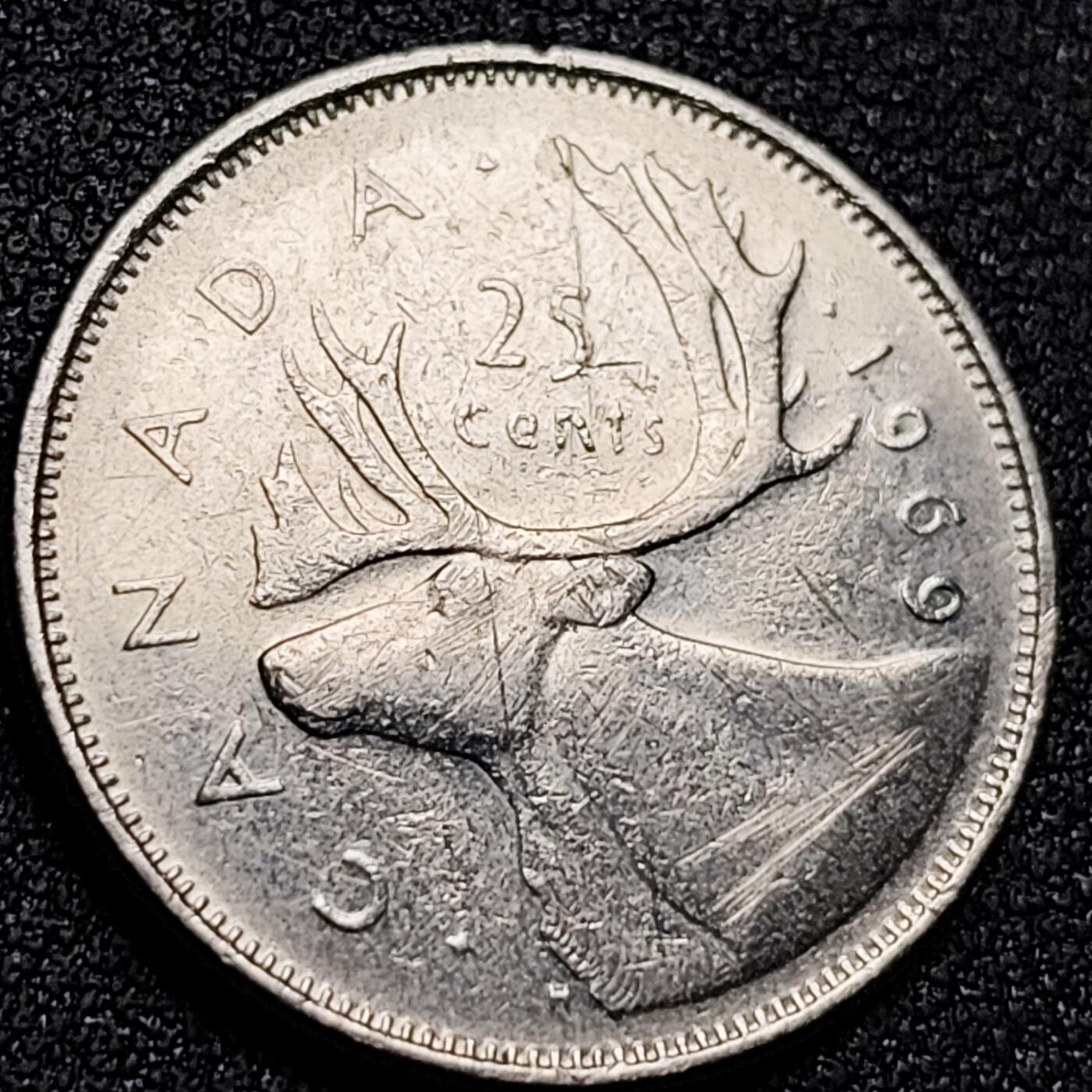 泉币菌-第155场-精品福利场 。