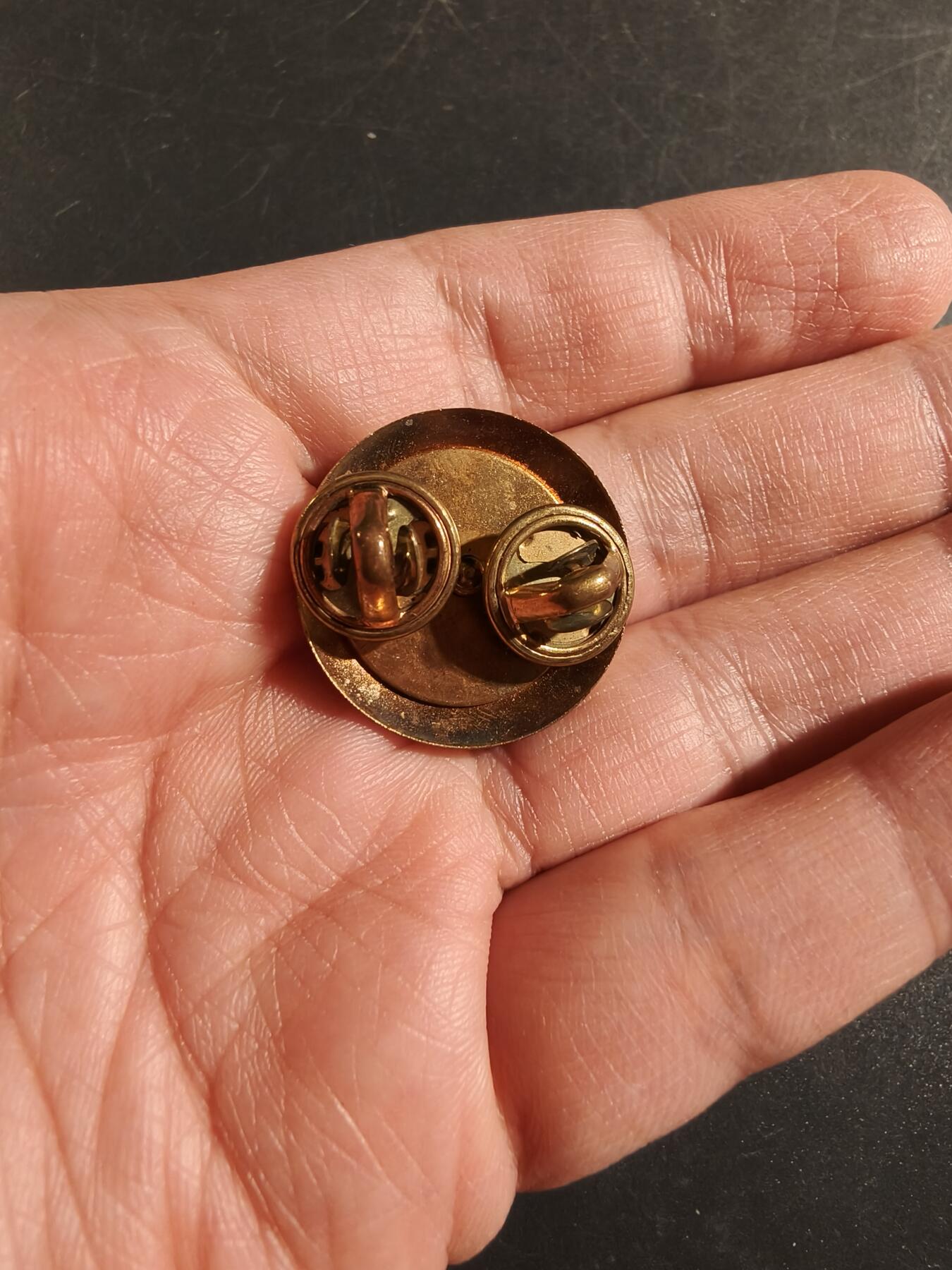 老王徽章第172期 美国财务军团领章