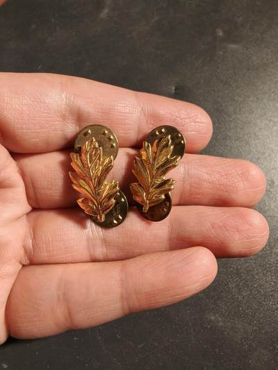 老王徽章第172期 - 美国海军医务兵军官领章一组     包10k金材质     带厂标