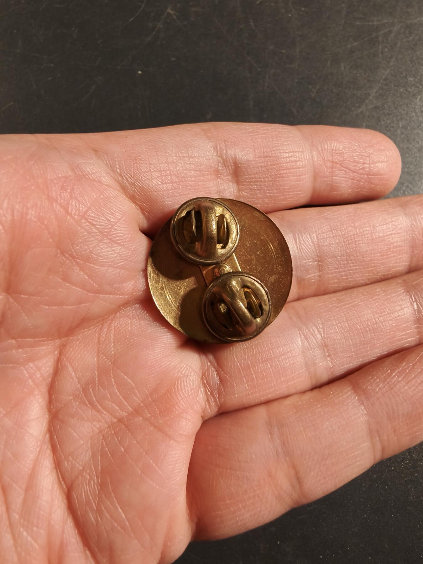 老王徽章第172期 美国陆军化学兵团领章