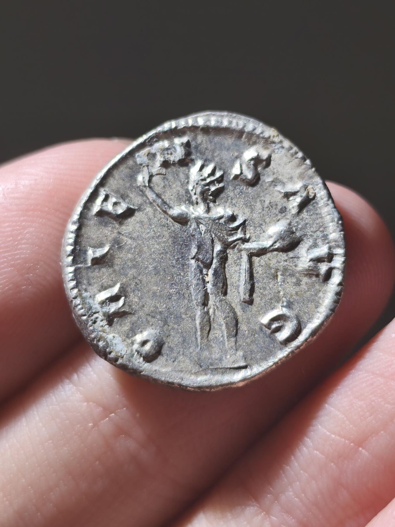 星盘世界钱币2026一月十日新年古典精品大拍 精彩纷呈