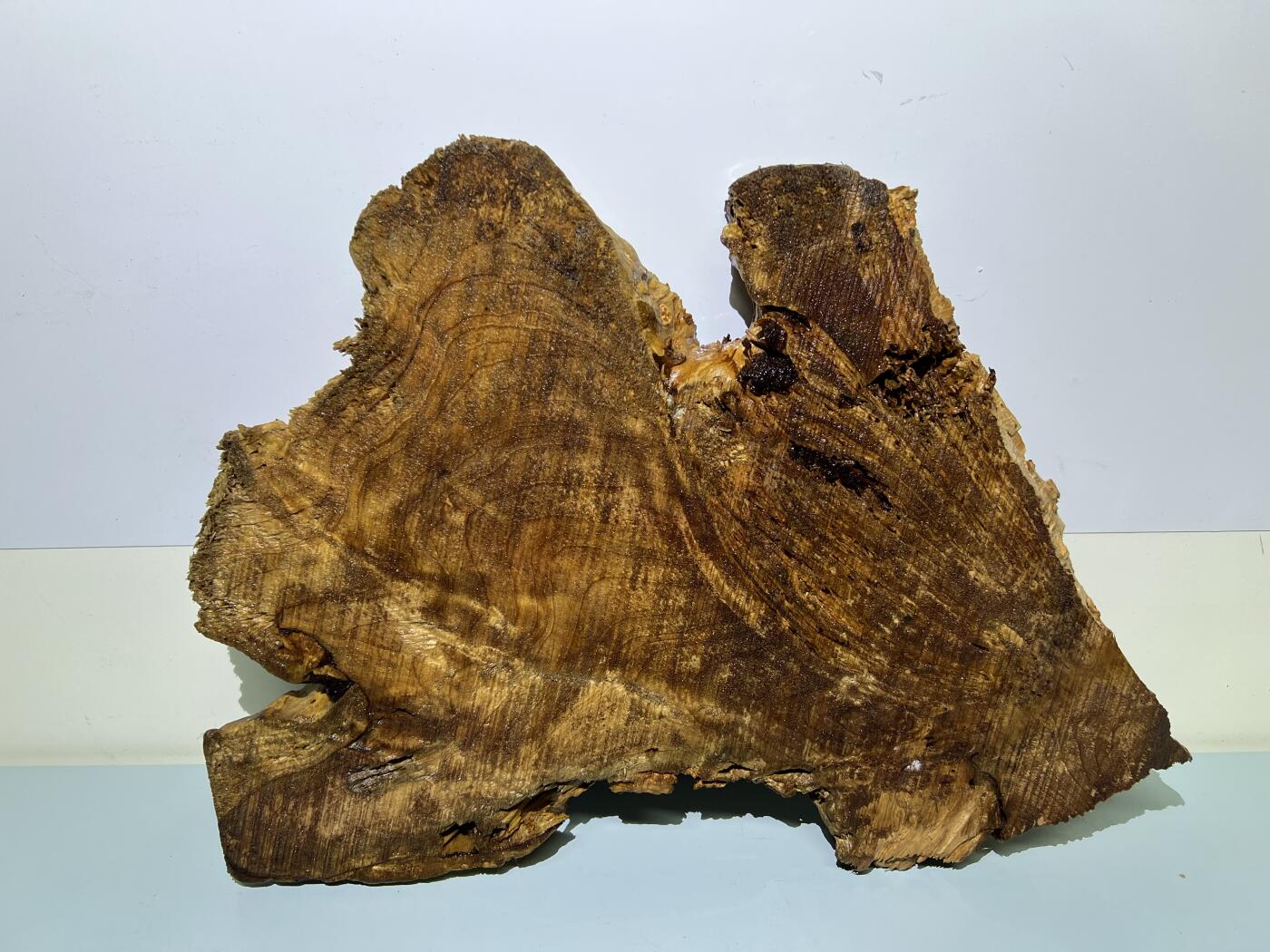 零元拍：香杉木老根榴干泡茶盘 毛坯，未打磨抛光，尺寸约：420/300/厚35MM，满花，药香满鼻，因为没有上漆，干燥天气可能会产生裂纹，属于正常现象