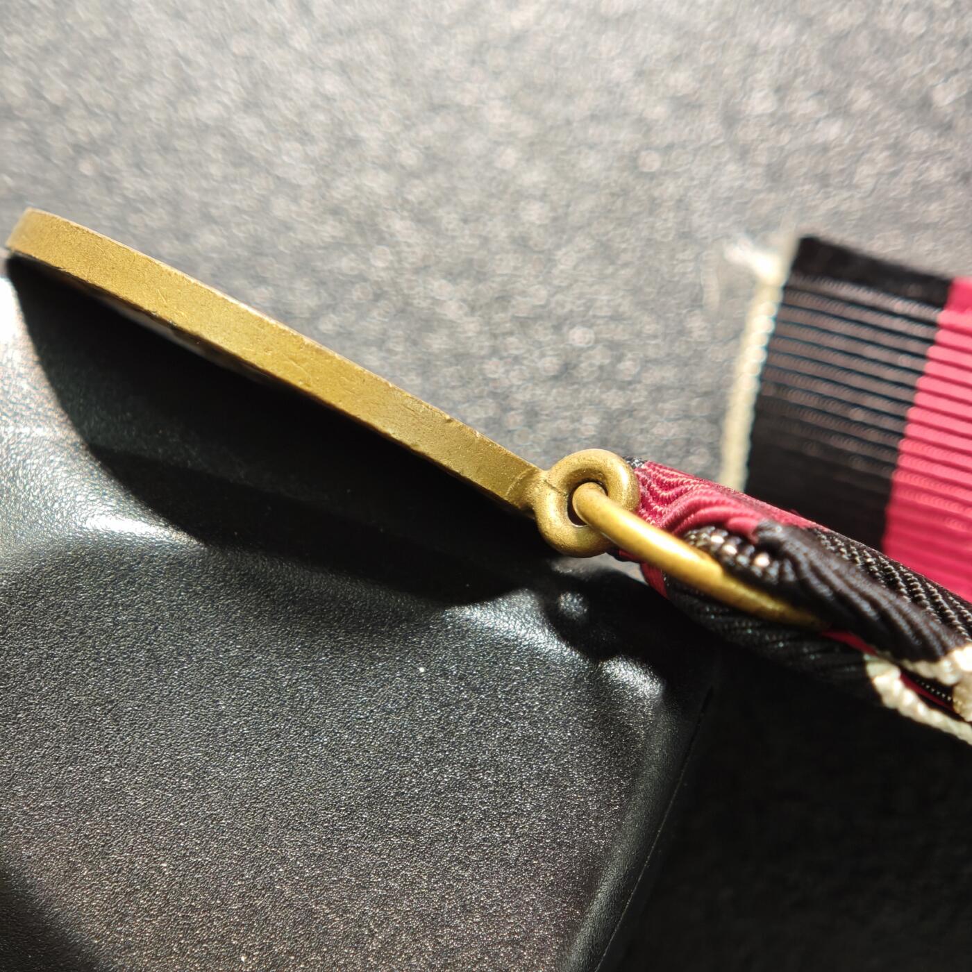 【德藏】世界币章拍卖第159期(元旦专场拍卖) 1938年 德国民族社会主义工人党吞并苏台德地区纪念奖章 直径约：31.9mm；重约：13.6g（原图请联系客服）