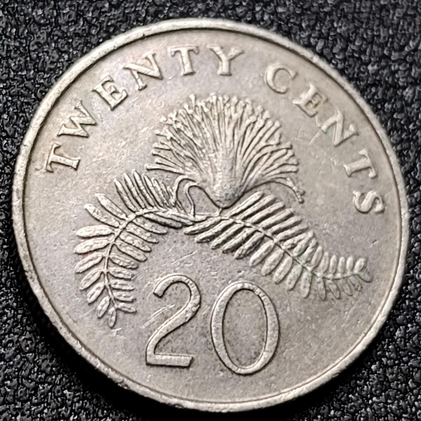 泉币菌-第155场-精品福利场 。