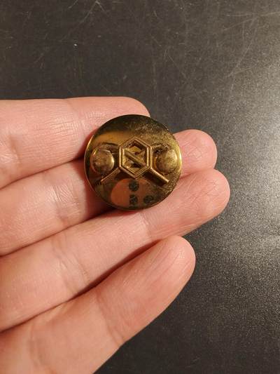 老王徽章第172期 - 美国陆军化学兵团领章