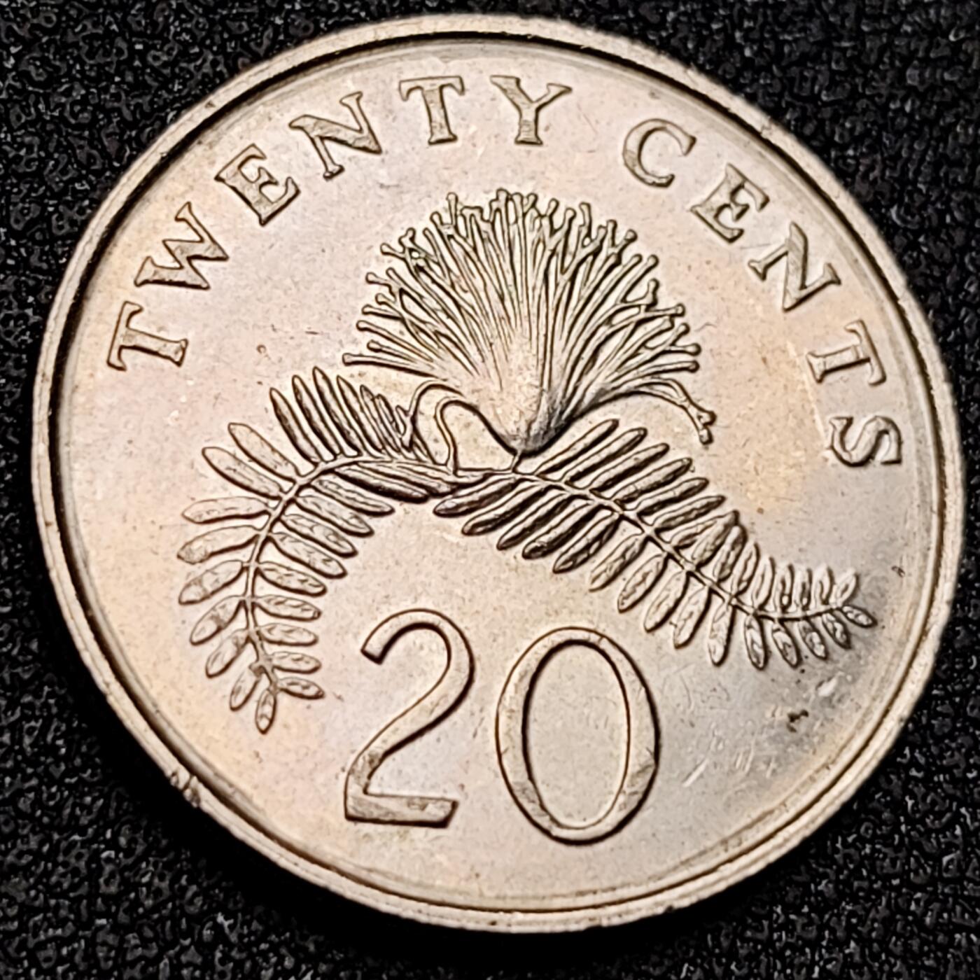 泉币菌-第156场-精品福利场 。