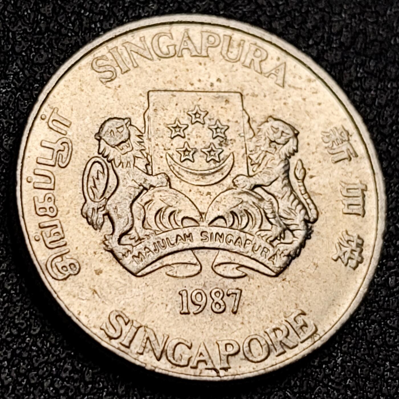 泉币菌-第156场-精品福利场 。