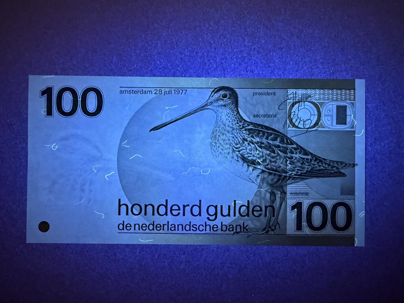 《艾美收藏》第226期-12.28周日外币精品场-蛇年收官 荷兰100盾 UNC 1977年经典水鸟