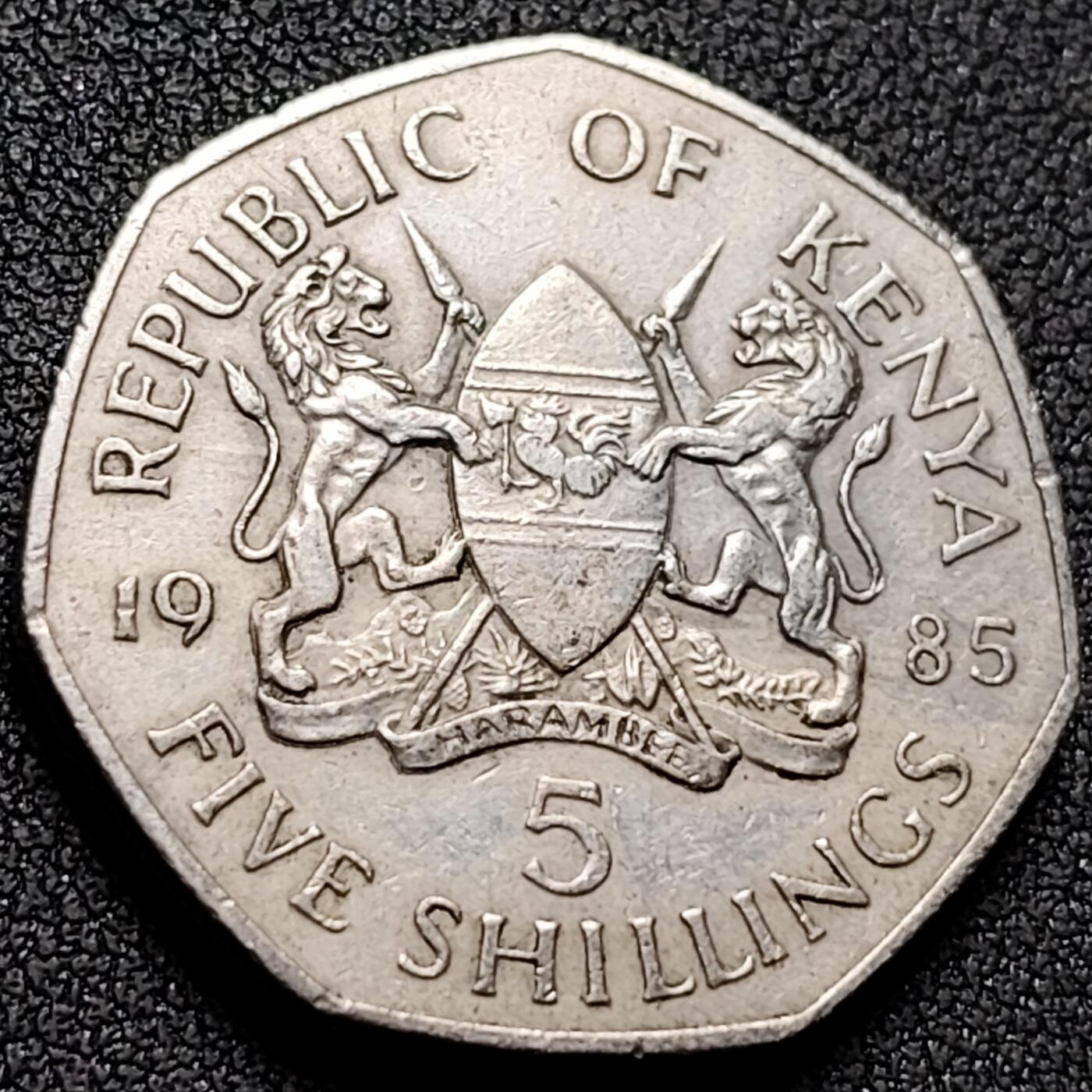 泉币菌-第155场-精品福利场 。