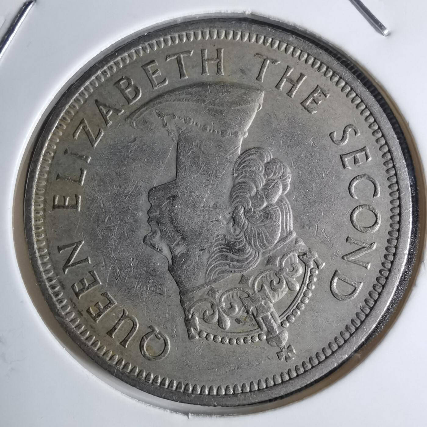 沼泽如烟--第947场 香港1971年一元特年