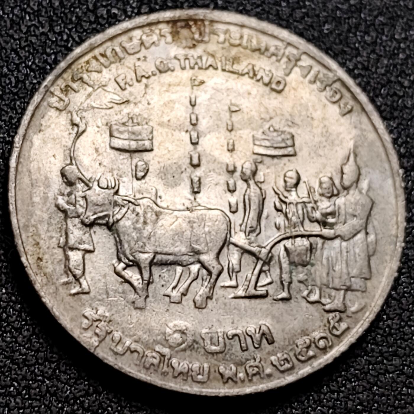 泉币菌-第155场-精品福利场 。