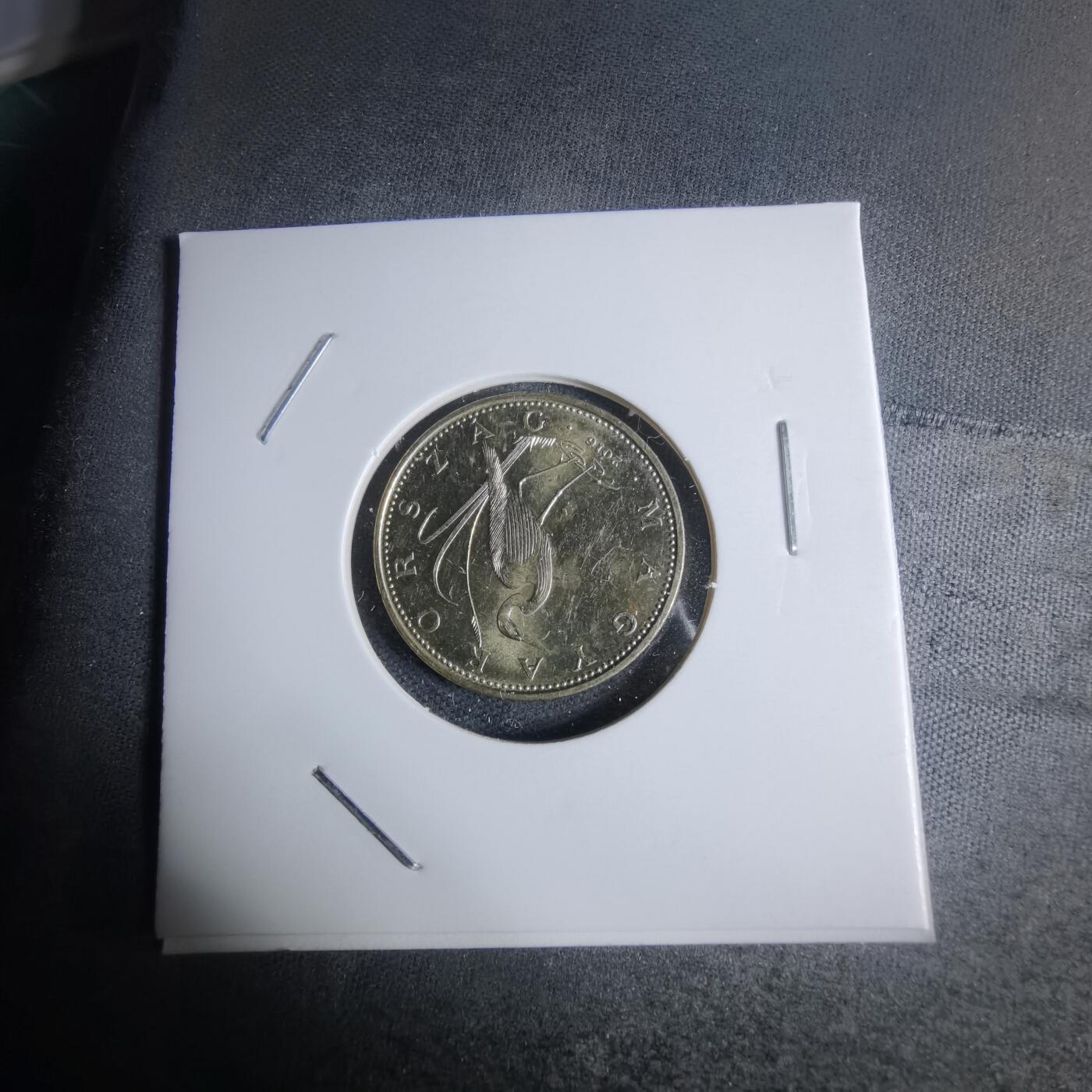 沼泽如烟--第947场