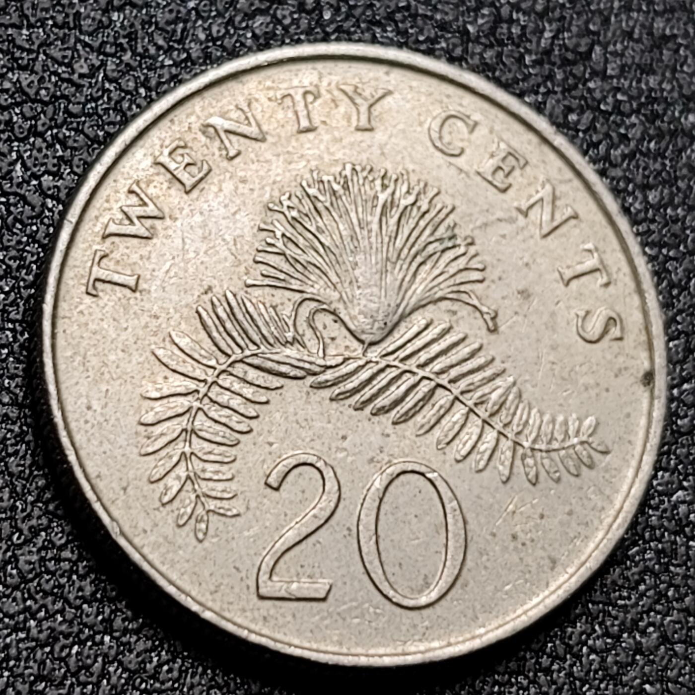 泉币菌-第155场-精品福利场 。