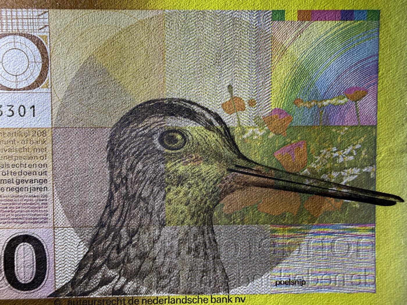 《艾美收藏》第226期-12.28周日外币精品场-蛇年收官 荷兰100盾 UNC 1977年经典水鸟