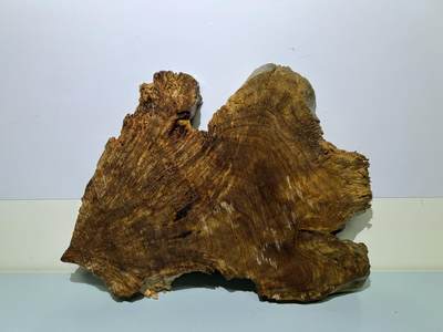 零元拍：香杉木老根榴干泡茶盘 毛坯，未打磨抛光，尺寸约：420/300/厚35MM，满花，药香满鼻，因为没有上漆，干燥天气可能会产生裂纹，属于正常现象 - 零元拍：香杉木老根榴干泡茶盘 毛坯，未打磨抛光，尺寸约：420/300/厚35MM，满花，药香满鼻，因为没有上漆，干燥天气可能会产生裂纹，属于正常现象