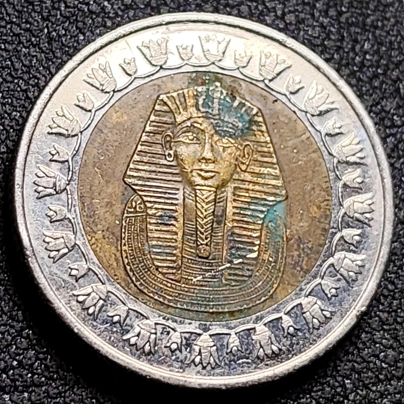 泉币菌-第155场-精品福利场 。