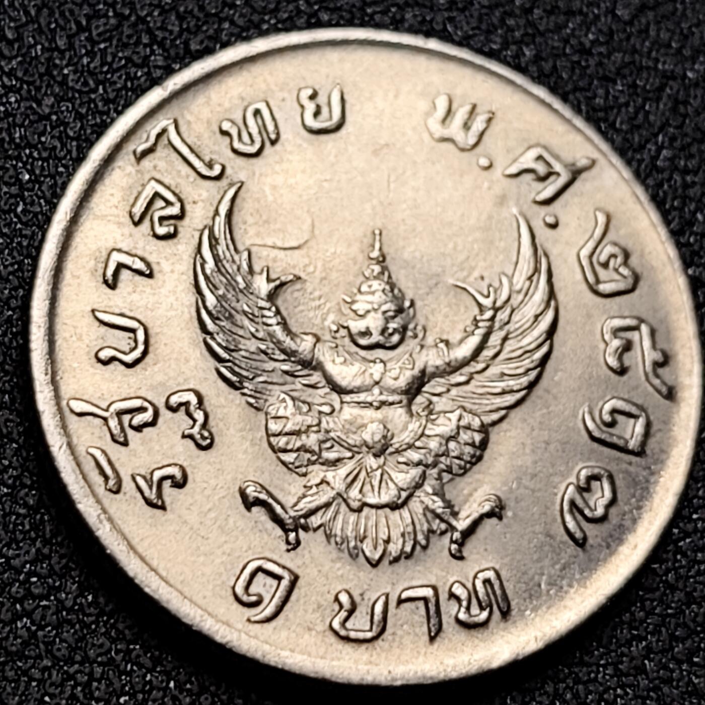 泉币菌-第156场-精品福利场 。