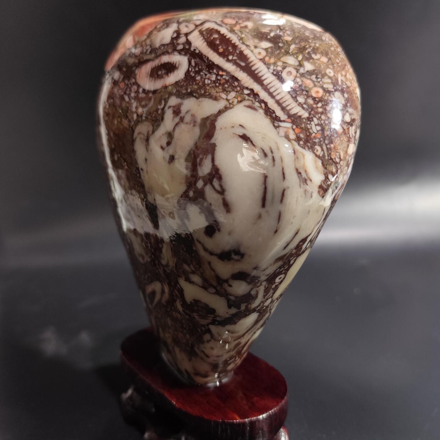 希腊罗马丝路打制币化石【中外钱币放漏】专场！陆小鱼的钱币仓，限时拍卖第080场 化石摆件1441g