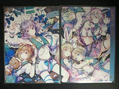 花开卡拍第53期（12月28号周日截拍，品控勿拍!!!拍品不寄存，运费5元，自制卡难免瑕疵，可能存在轻微撞角爆边等出厂瑕疵，品控介意勿拍！） - 睡衣少女们 双拼卡 2张 彩闪