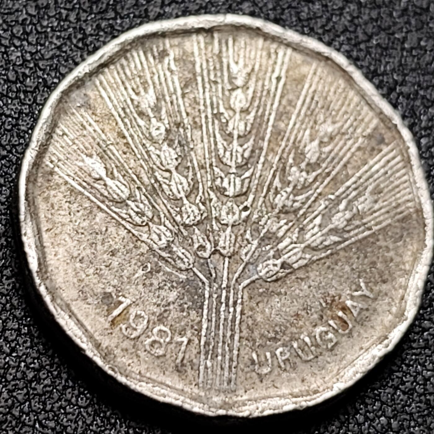 泉币菌-第155场-精品福利场 。