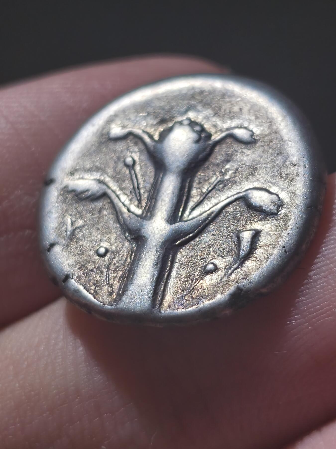 美品！古希腊-北非 昔兰尼加罗盘草 阿波罗-阿蒙 2德拉克马大银币7.48g 背面著名的教科书已灭绝的植物罗盘草 该类型币价格五千以上，此品非常干净漂亮，入手温润美观，非常不错的精品