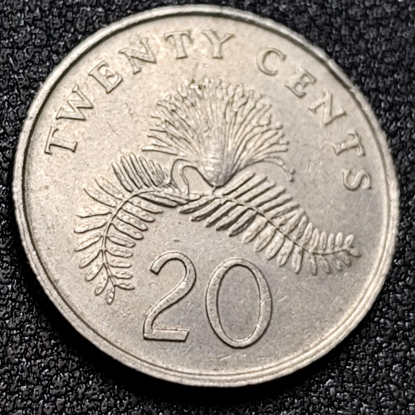 泉币菌-第155场-精品福利场 。