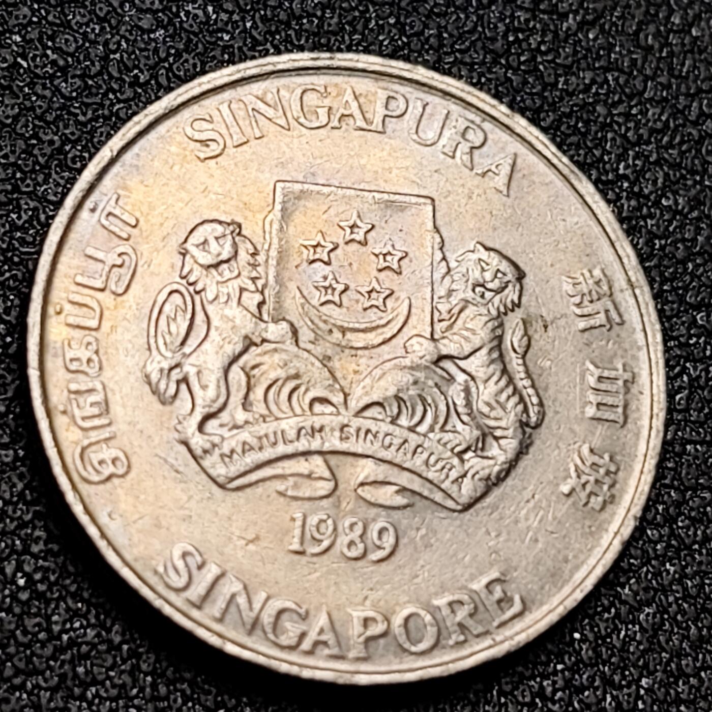 泉币菌-第156场-精品福利场 。