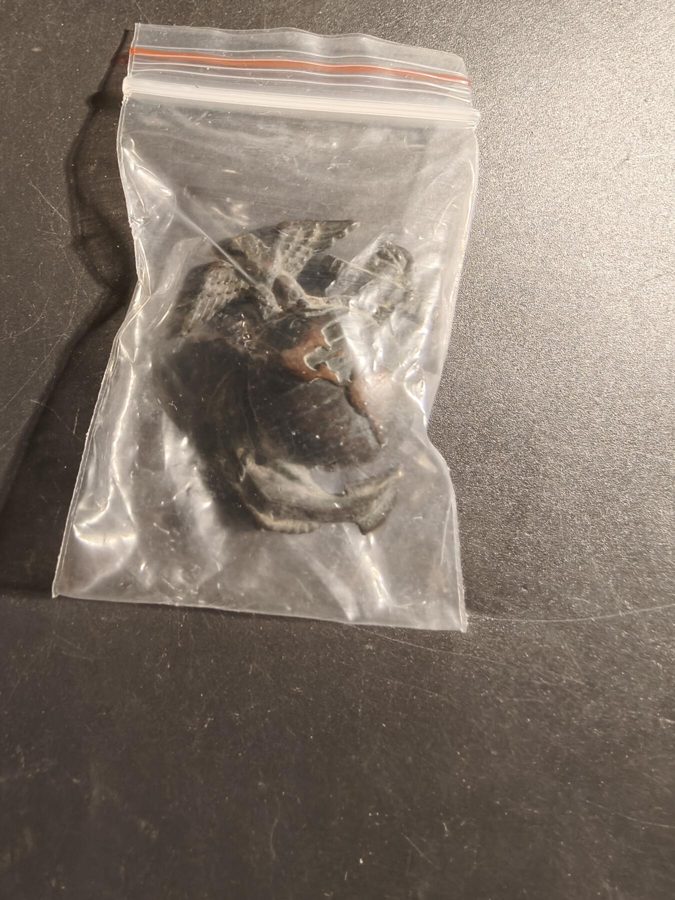 老王徽章第172期 美国海军陆战队大檐帽帽徽    低可视度版