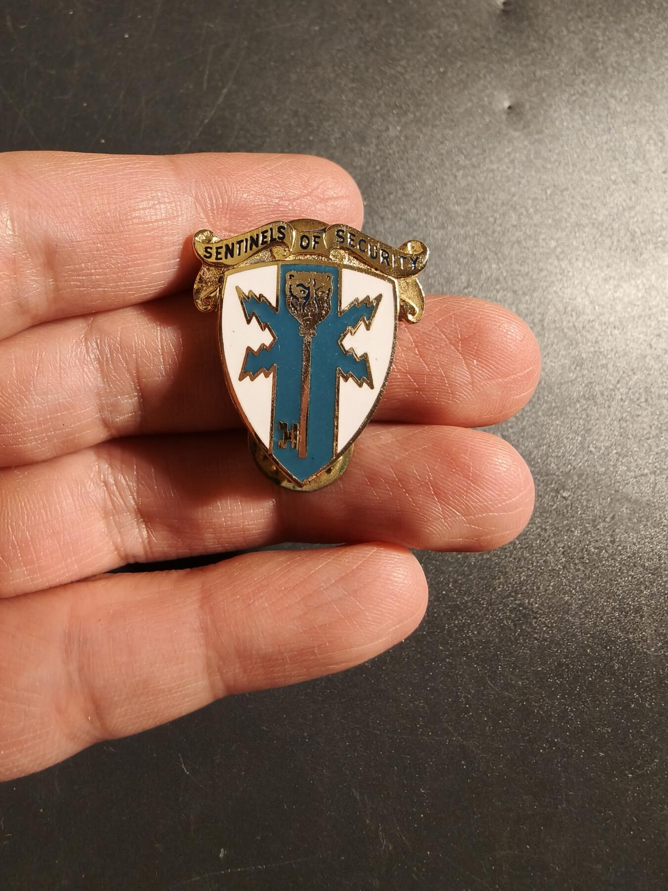 老王徽章第172期