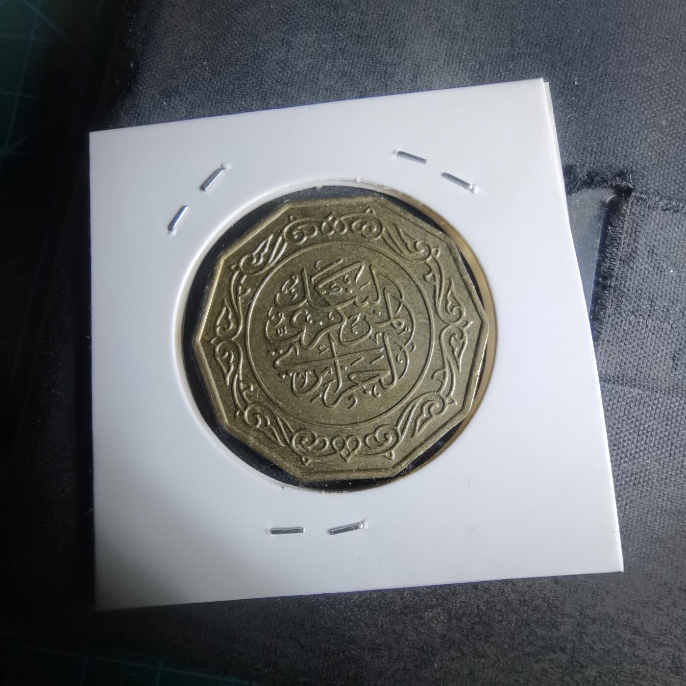 沼泽如烟--第947场