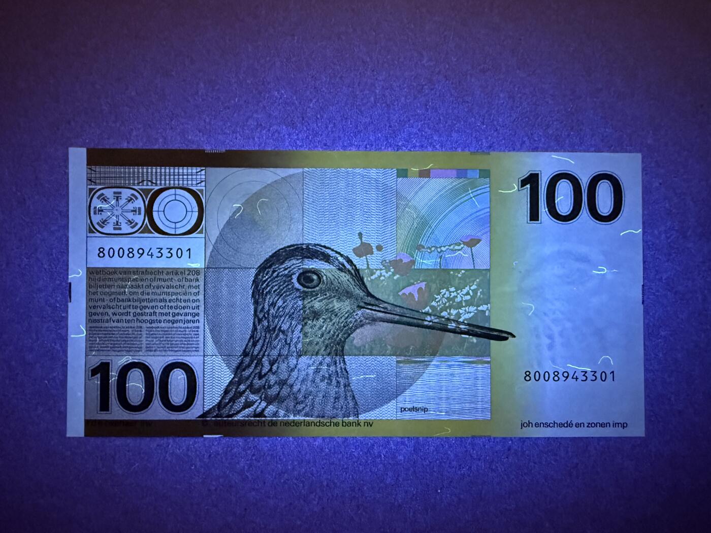 《艾美收藏》第226期-12.28周日外币精品场-蛇年收官 荷兰100盾 UNC 1977年经典水鸟