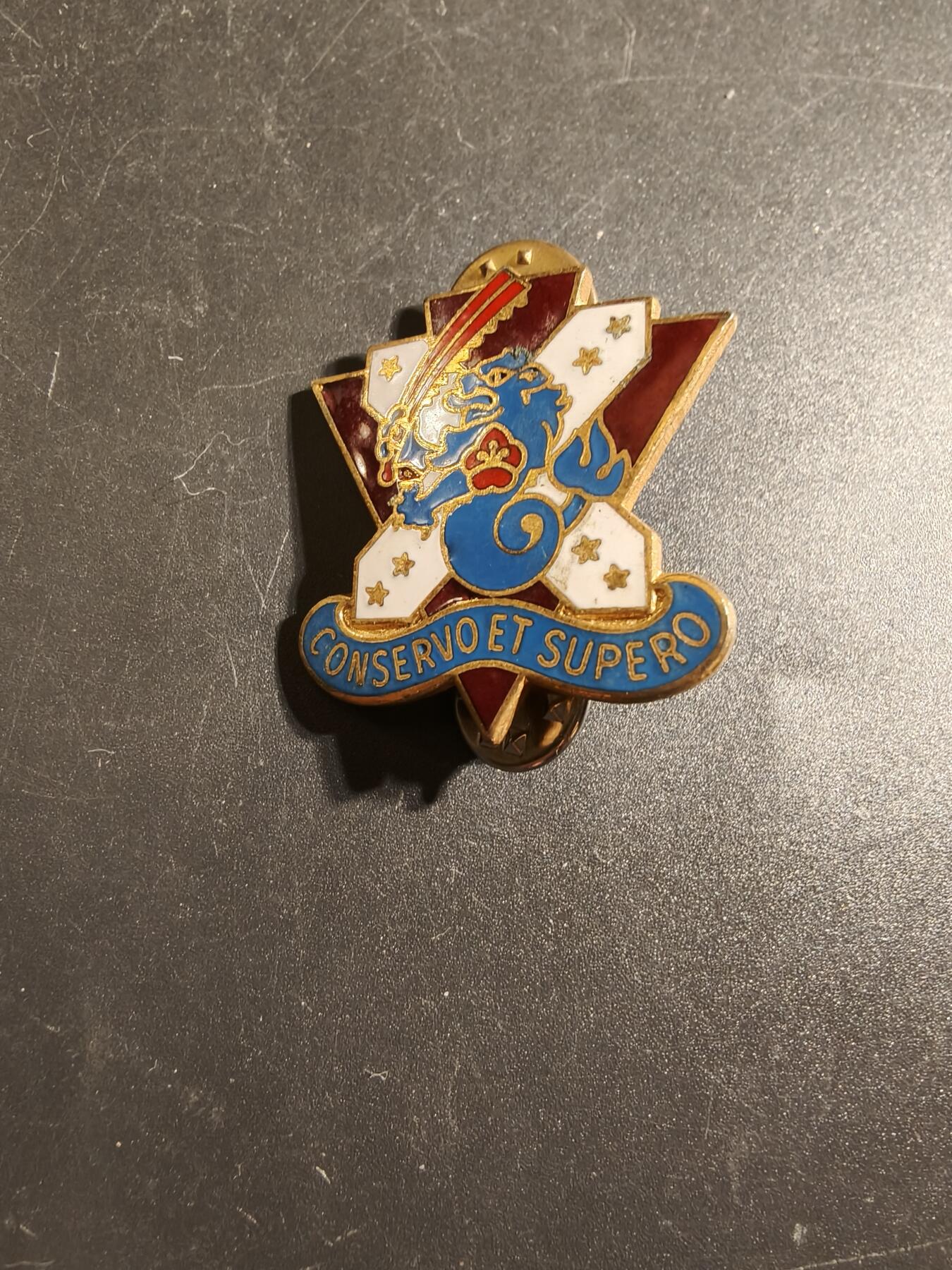 老王徽章第172期 美国陆军第161医疗营证章