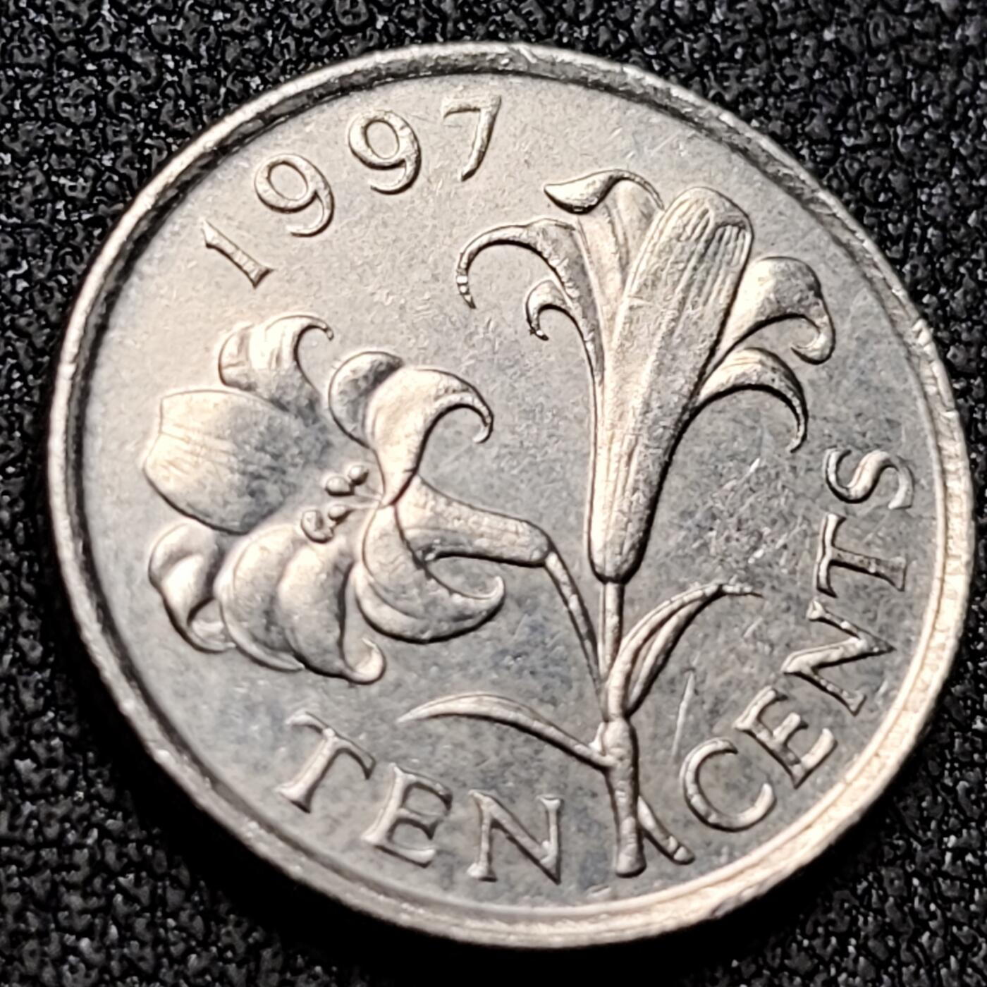 泉币菌-第155场-精品福利场 。