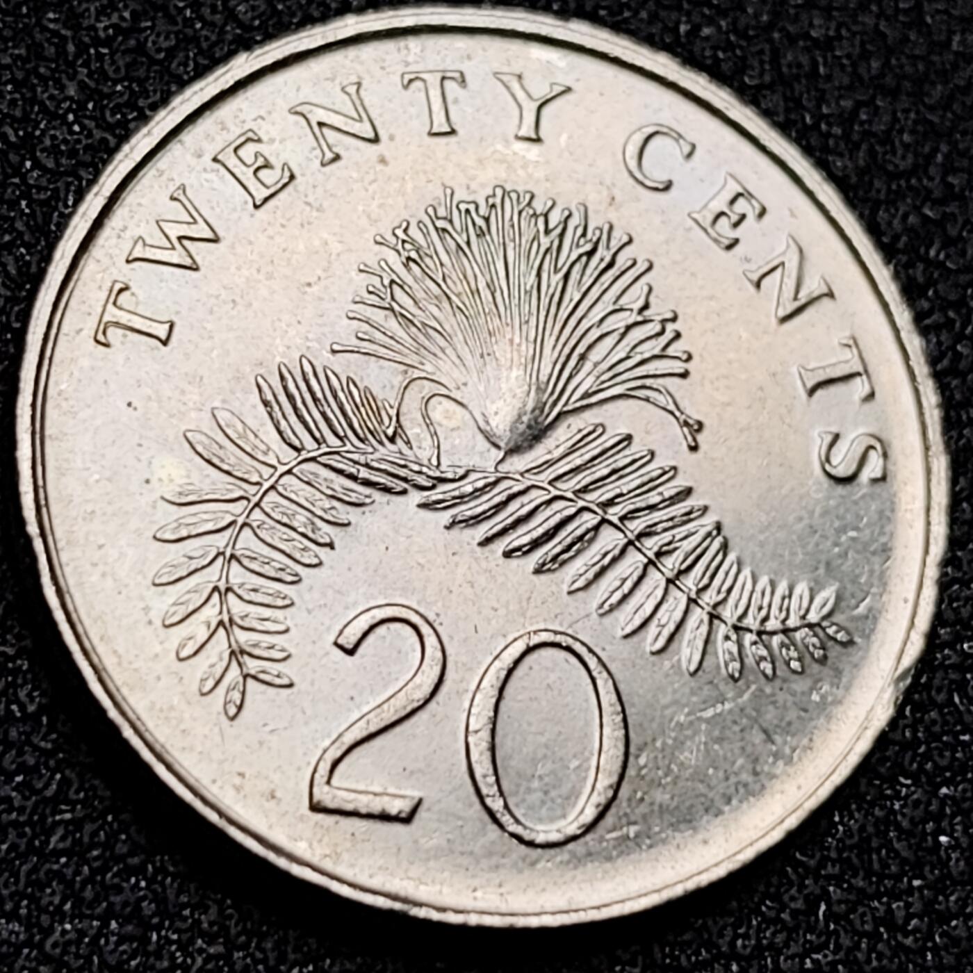 泉币菌-第156场-精品福利场 。