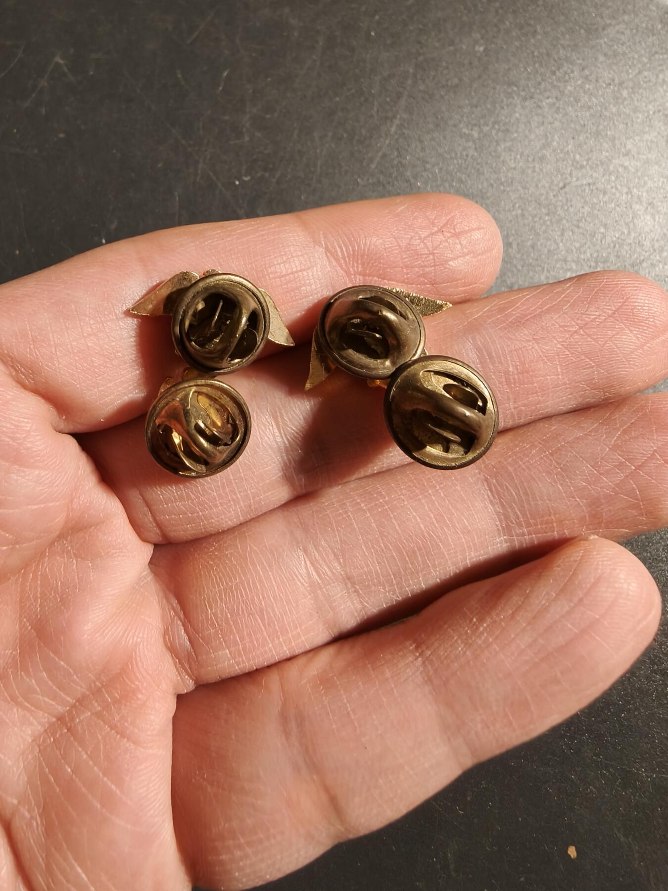 老王徽章第172期 美国海军少尉候补军官领章一组