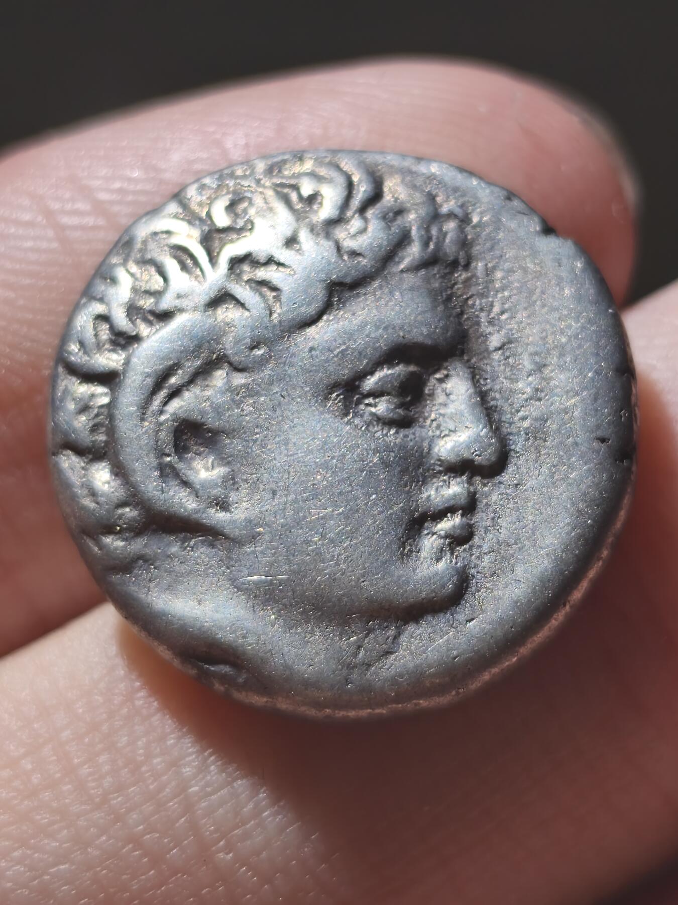 美品！古希腊-北非 昔兰尼加罗盘草 阿波罗-阿蒙 2德拉克马大银币7.48g 背面著名的教科书已灭绝的植物罗盘草 该类型币价格五千以上，此品非常干净漂亮，入手温润美观，非常不错的精品