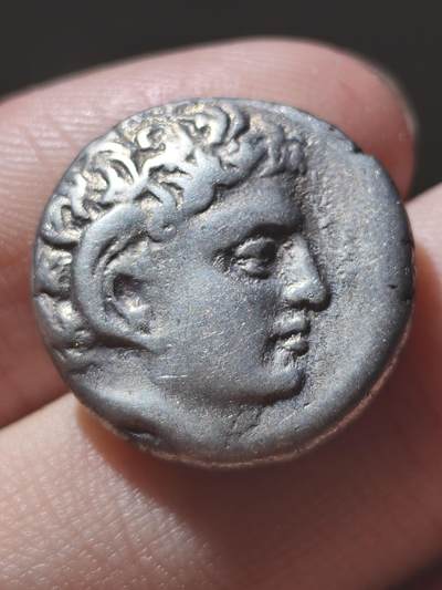 美品！古希腊-北非 昔兰尼加罗盘草 阿波罗-阿蒙 2德拉克马大银币7.48g 背面著名的教科书已灭绝的植物罗盘草 该类型币价格五千以上，此品非常干净漂亮，入手温润美观，非常不错的精品